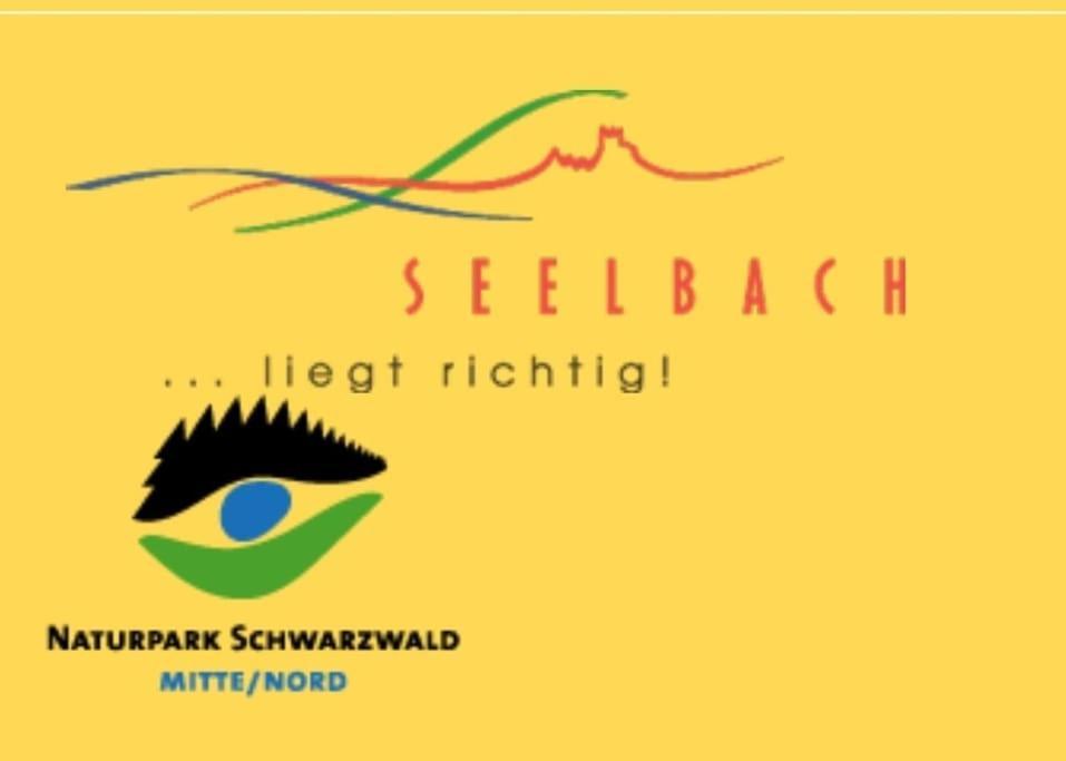 Ferienwohnung Talblick Im Schwarzwald Seelbach  Exterior foto