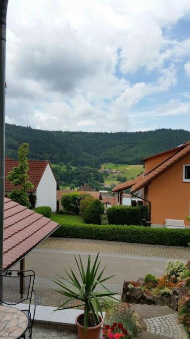 Ferienwohnung Talblick Im Schwarzwald Seelbach  Exterior foto